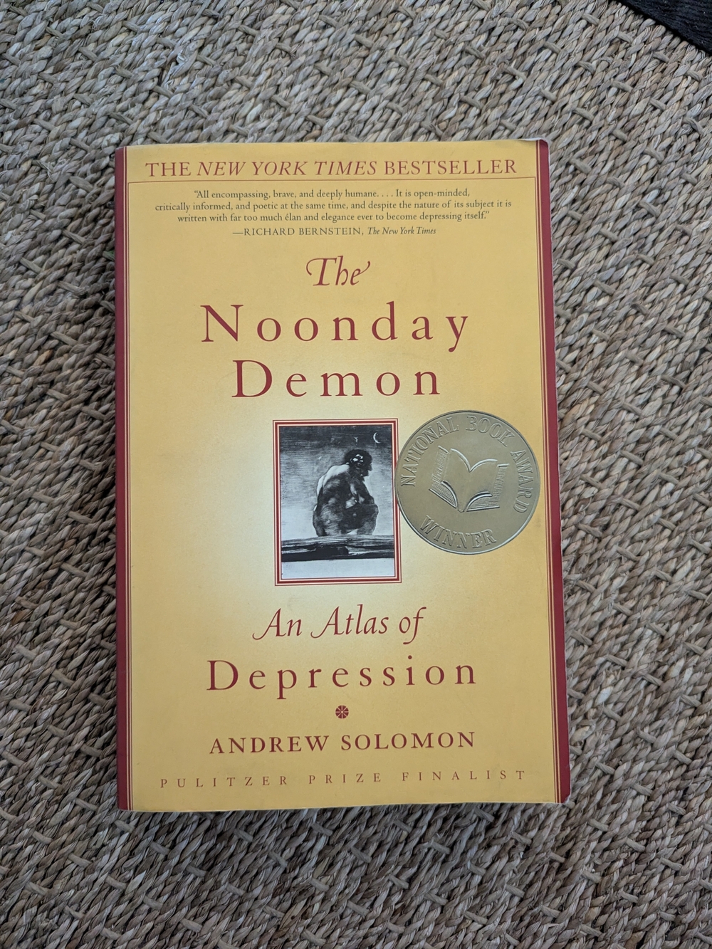 The Noonday Demon An Atlas of Depression - Yellow Paperback